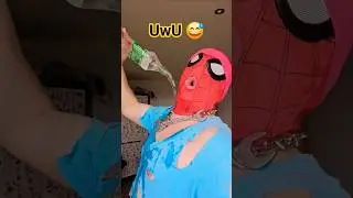 Best UwU Moments 😅 Ft. Spiderman And Sigma 