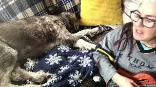 My Only Man of the Hour (guest appearance by Moose) by: Norah Jones