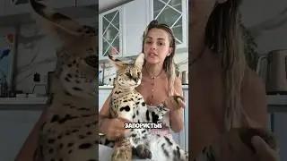 Запористые выходные😑 подпишитесь на тг канал (ссылка в шапке)! Мы справились! У кого пятница- г💩?