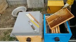 Итог Зимовки на трёх рамках с изоляцией матки.