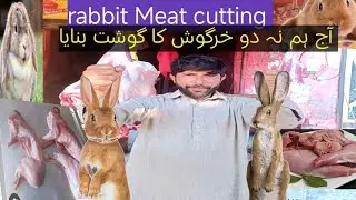rabbit Meat cutting skill | so amazing expert butchers rabbit Meat cutting | very tasty Meat