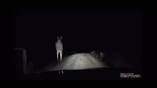 GTA Australia