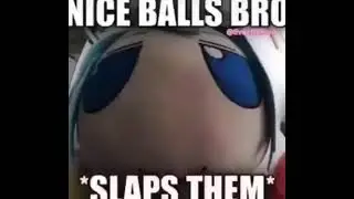 Nice Balls Bro *slaps*