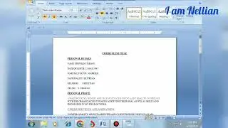 Saving a file with a password  in Ms Word