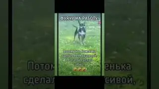 #затокрасотка