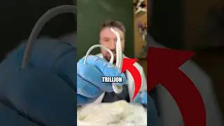 This is a candy with 1,000,000,000,000 layers?!