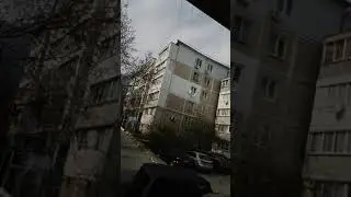 Сидим дома - День 7-й ... 5 апреля 2020 г. 