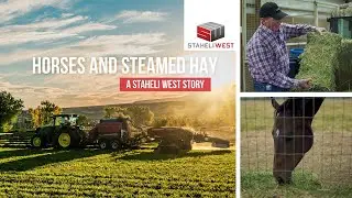 Why the 6666 Ranch, Coleman Racing, and Blane Wood Stables Feed their Horses DewPoint Steamed Hay