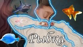 ☀️Рыбка Петушок|Что для него нужно|обзор ☀️