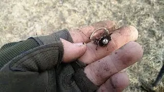 Серебряный перстень, с жемчугом, на барской усадьбе