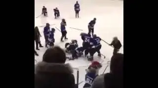 🏒🥊Драка хоккеистов в Исландии🏒🥊