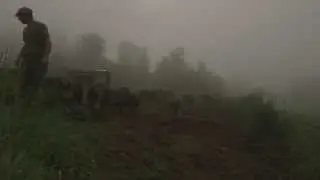 Pigs in the Mist: THE LAST PIG