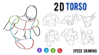 2D to 3D Torso | How to draw torso | Art tutorial | Core shape | Beginners tutorial