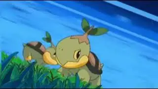 Pokemon Sinnoh Region | GYM Battle : 2 | #ash #pokemon