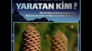 Tüm bu güzelliklerin sahibi Allahtır.