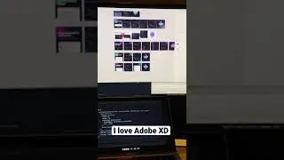 Working with Adobe XD as a Developer Everyday ✋  