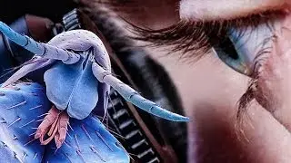 Normal things will shock you under the microscope (Part2)