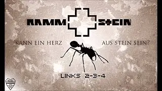 Rammstein - Links 2-3-4 (Clawfinger Geradeaus Remix) Bass Cover