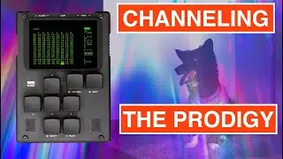 I channelled The Prodigy in this one. And my dog // Dirtywave M8