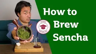 HOW TO BREW SENCHA GREEN TEA - Masterclass