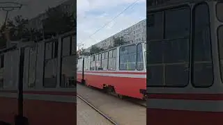 Лвс-86к на маршруте 🟦49🟥