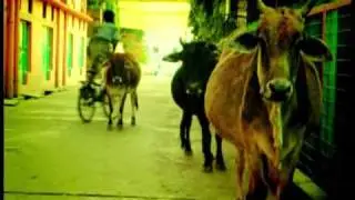 Rishikesh: The Town of Orange People