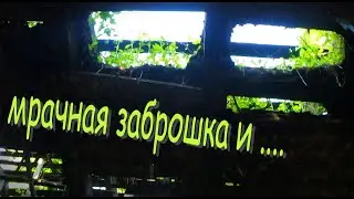 заброшенная больница | лес у реки