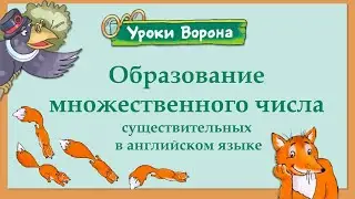 Образование множественного числа в английском языка, 