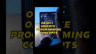 what are the object oriented programming concepts (OOP) in java 