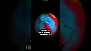 Facts about gravity.  