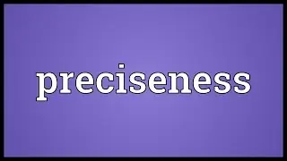 Preciseness Meaning