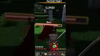Don't mess with the bear