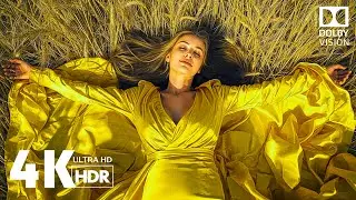 The Clarity 4K HDR Dolby Vision 60 FPS  (4k 8K Video)