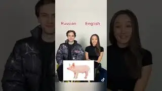 ви ви !!!gachi muchi🐖🐷