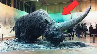 Scientists are bringing these animals back to life.