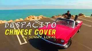 Sunny Lukas - Despacito Remix (Chinese Cover)