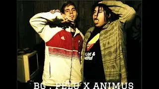 ANIMUS X BG. PELU - CRUDO