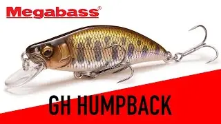Megabass GH Humpback
