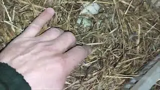 Надеюсь, будет пополнение.