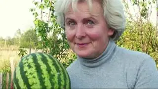 Дорогие мои земляки