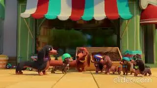 Muttgomery's birthday song