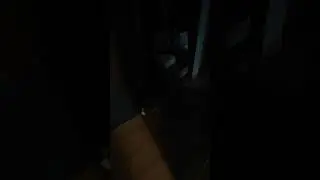 Троллинг над Степой