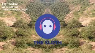 Lil Cookie - William Rosati | Royalty Free Music | No Copyright Music