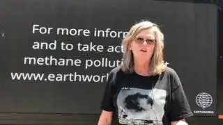 Sharon Wilson, Texas
