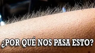 ¿ Por que Damos Calambre ? ¿ Por que Vomitamos ? ¿ Por que Tenemos Ardores ?