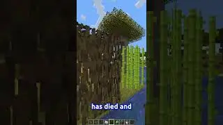 A CROP BUILDING TIP