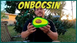 Mi primer ONBOCSIN.