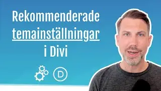 4.3 Divis temainställningar (Theme Options)
