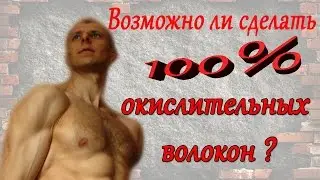 СЕЛУЯНОВ. МОЖНО ЛИ СДЕЛАТЬ 100% ОКИСЛИТЕЛЬНЫХ ВОЛОКОН?