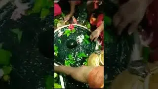 Baba Baijnath Dam Dashahra Puja Live Darshan,#devotional, #shorts, #trending,#viral